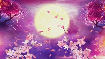 唯美中国风花好月圆