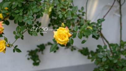 4k高清治愈角落