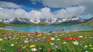 治愈护眼风景
