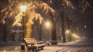 雪天