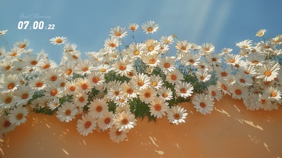 风中摇曳的小皱菊