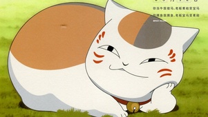 猫咪老师