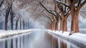 雪天大树