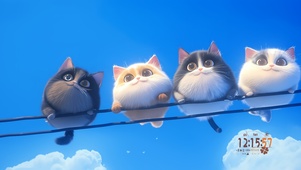 向往天空