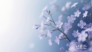 幽静的蓝雪花