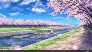 樱花路