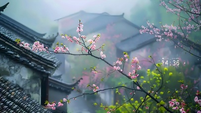 4k江南桃花盛开