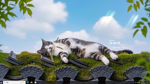猫猫的惬意时光