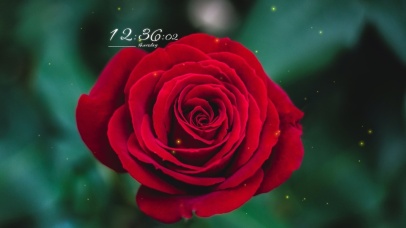 4k高清简约清新系列