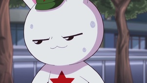 那年那兔