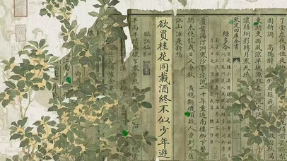 欲买桂花同载酒  壁纸