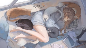 4K 猫咪少女午休