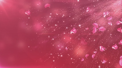 唯美红色光效花瓣