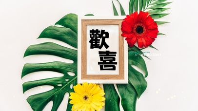 4k简约绿植ins风格系列