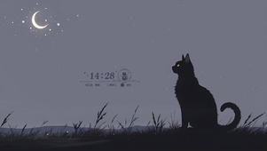 守护星空猫咪