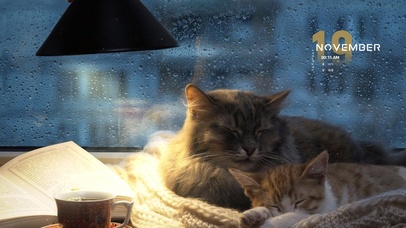 温馨的下雨天（4K超清治愈）