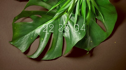 4k简约绿植ins风格系列