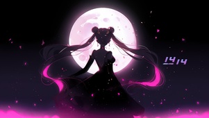 暗夜月野兔