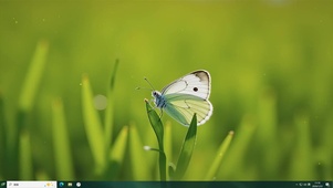 简约护眼绿意桌面