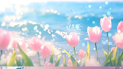 4K 唯美透亮郁金香