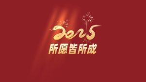 2025所愿皆所成