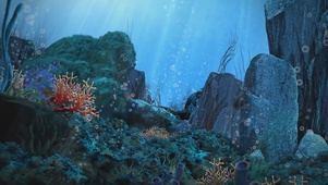 梦幻海底世界（循环）
