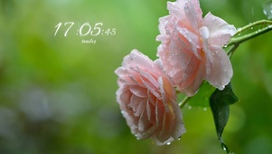 雨中花朵
