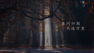 光影森林