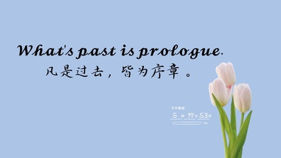 4k治愈清新郁金香文字桌面壁纸