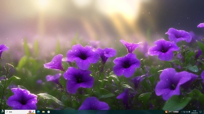 阳光下的美丽花朵