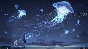 梦幻的世界