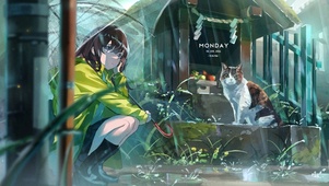4K 治愈雨天女孩和猫