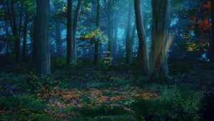夜晚森林