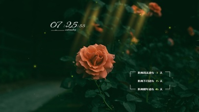 4k高清唯美系列