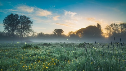 静谧山间花海的一缕阳光