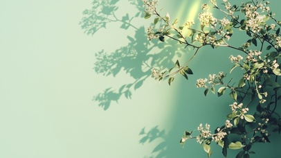 温馨简约动态壁纸