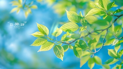 清新绿色树叶壁纸