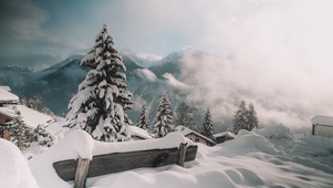 认真的雪~