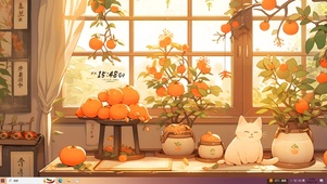 可爱阳光橘猫