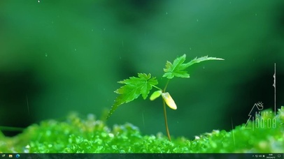 绿色小草-小嫩芽