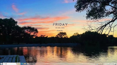 4k夕阳湖畔落叶