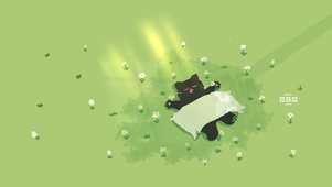 树下休息的猫