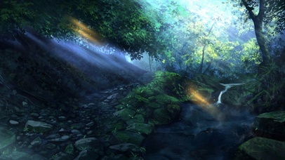 4k 静谧森林小溪 洗涤心灵