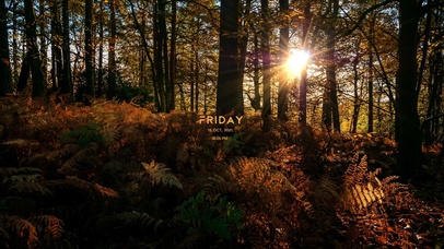 风景系列之十六【4K唯美治愈】