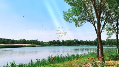 夏日乡村湖边风景