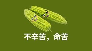 打工人苦瓜