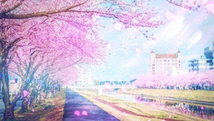 樱花街