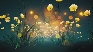 黄色花花
