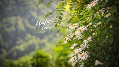 4k高清简约清新系列