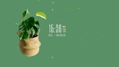 4k清新护眼绿植桌面